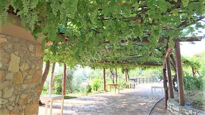 Fethiye Faralya'da İmarlı Arsa Fiyatına Muhteşem Butik Otel - Görsel 6