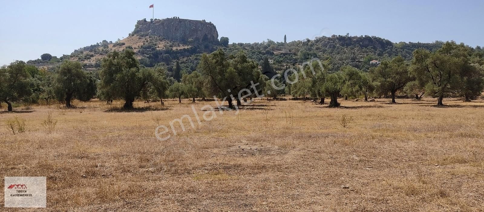 emlakcidan mugla milas becin mahallesi satilik tarla 3 000 000 tl 10232331