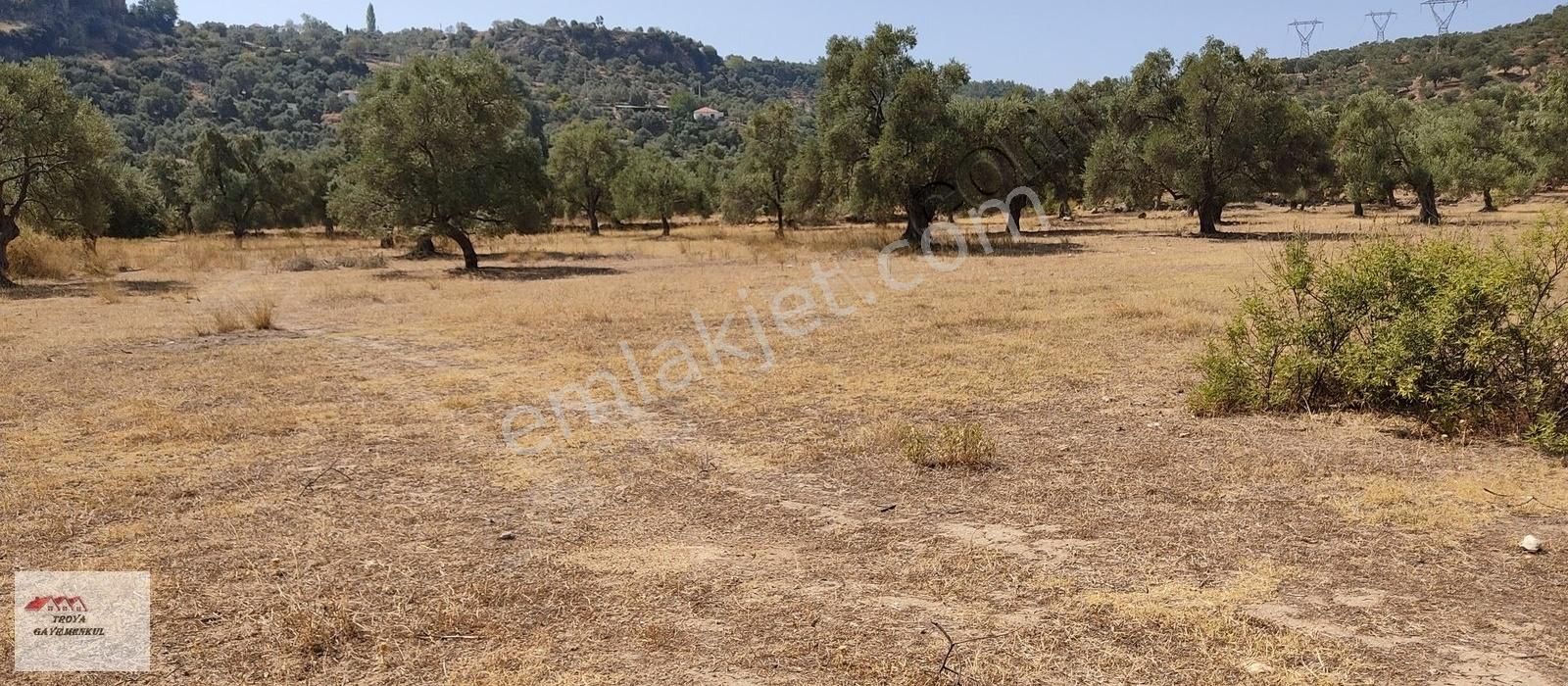 emlakcidan mugla milas becin mahallesi satilik tarla 3 000 000 tl 10232331