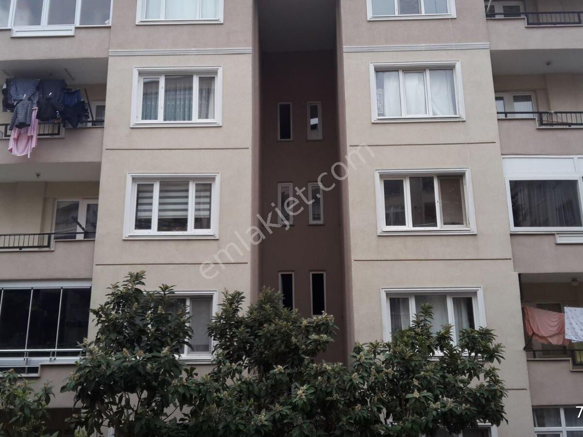 emlakcidan bursa nilufer dumlupinar mahallesi 3 1 satilik daire 570 000 tl 10271835