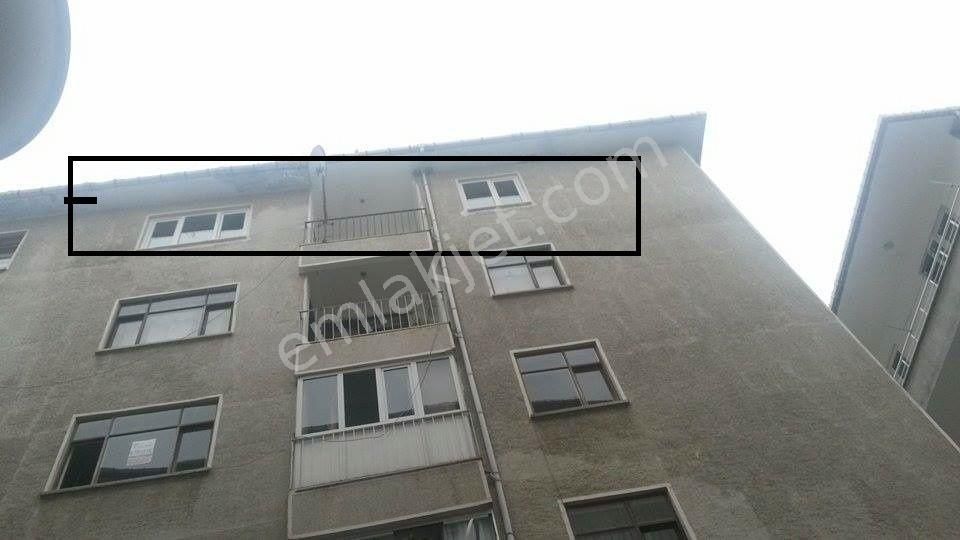 Arhavi Boğaziçi Kiralık Daire Sahibinden 3+1 Kiralık Daire