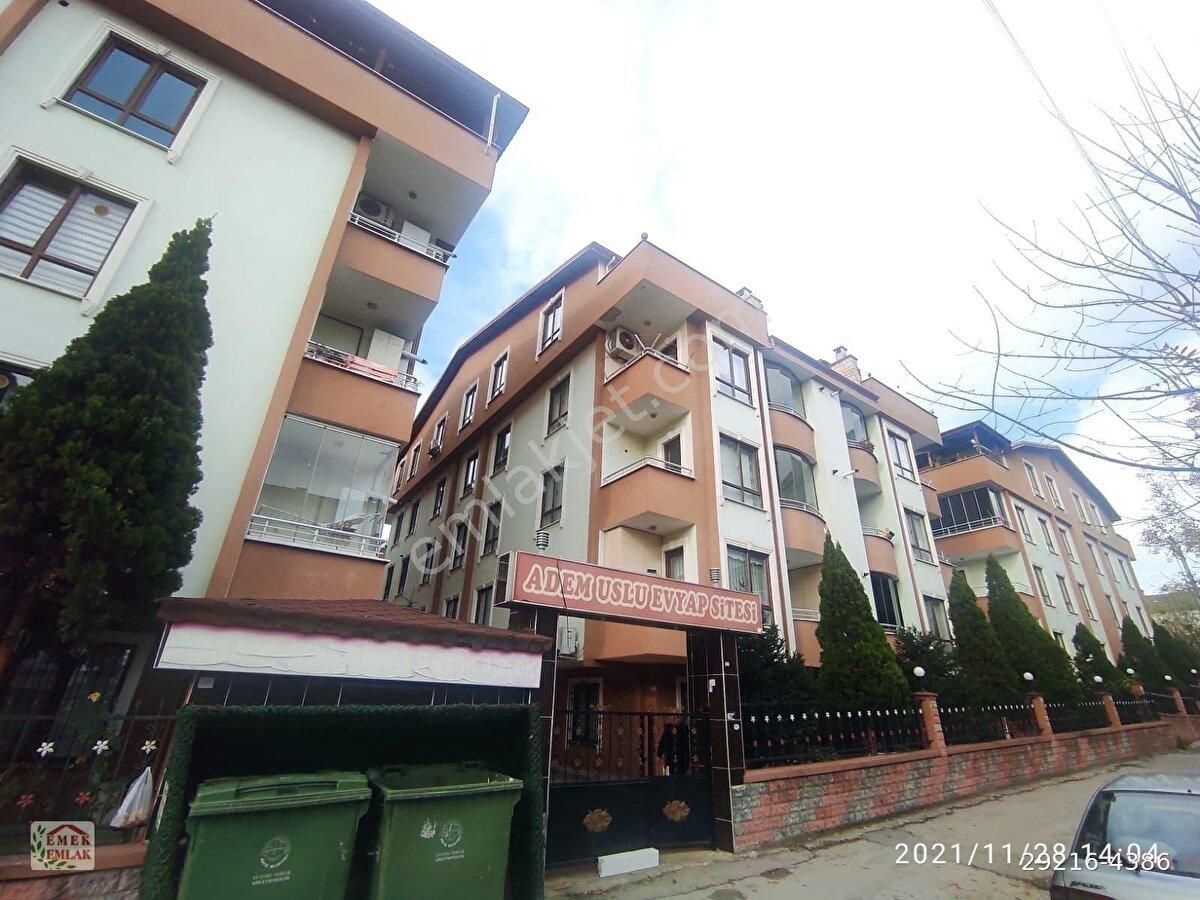 emlakcidan kocaeli korfez mimar sinan mahallesi 3 1 kiralik daire 2 600 tl 10319775