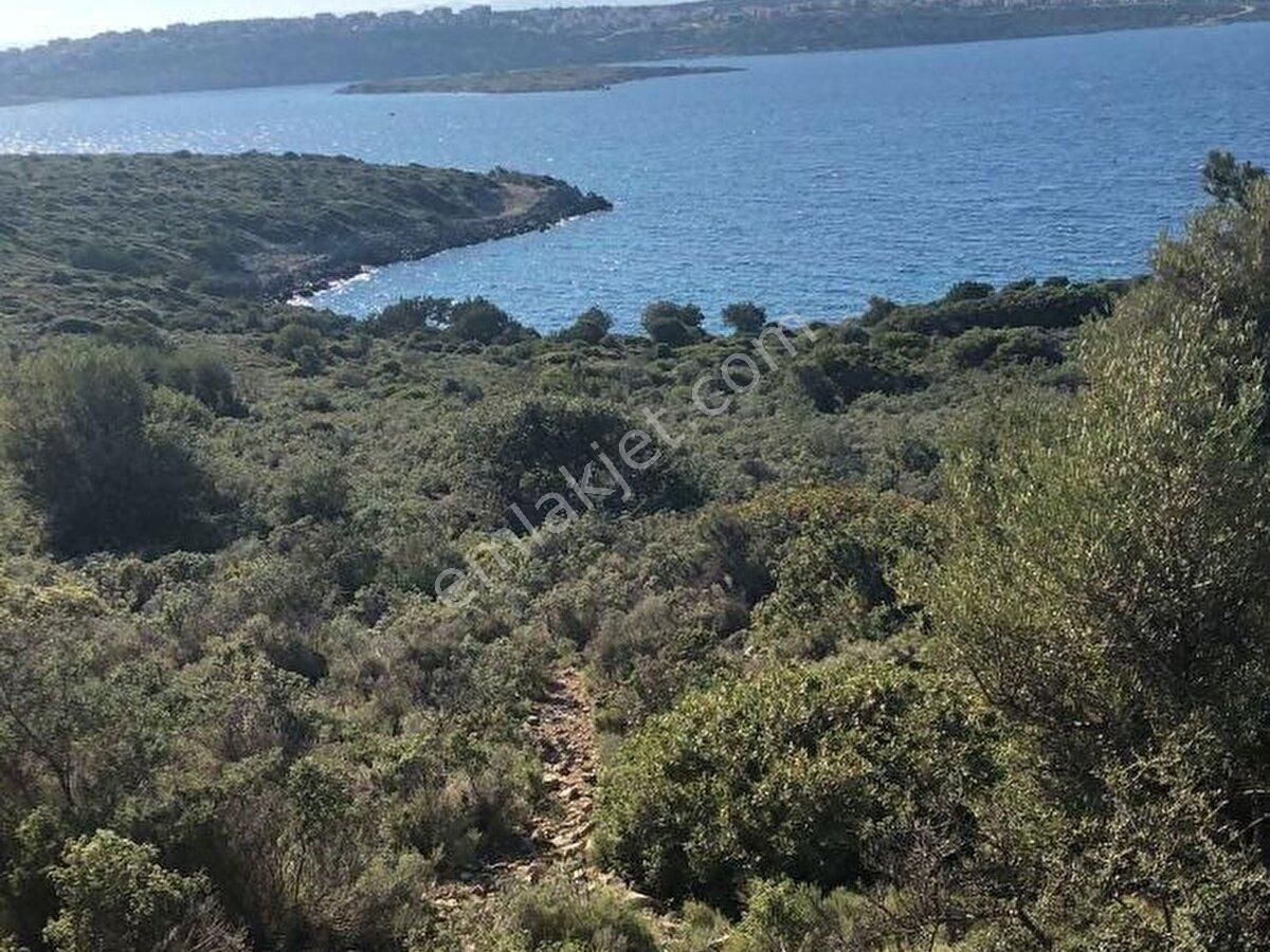 Çeşme Ildır Satılık Sit Alanı Çeşme Ildırı Da Alınır Satılır Kooperatif Hissesi