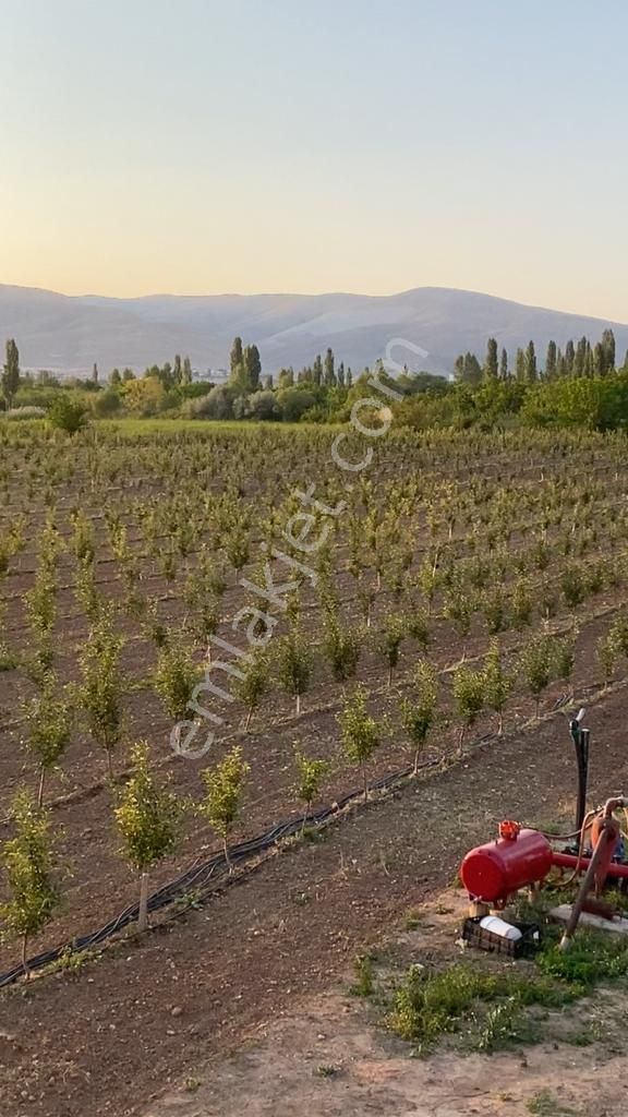nigde camardi satilik bag bahce emlakjet nigde camardi satilik bag bahce emlakjet