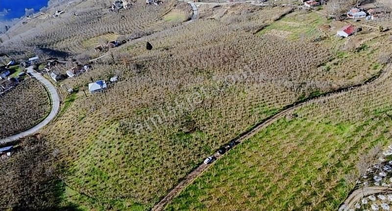 duzce golyaka satilik arsa fiyatlari ve ilanlari