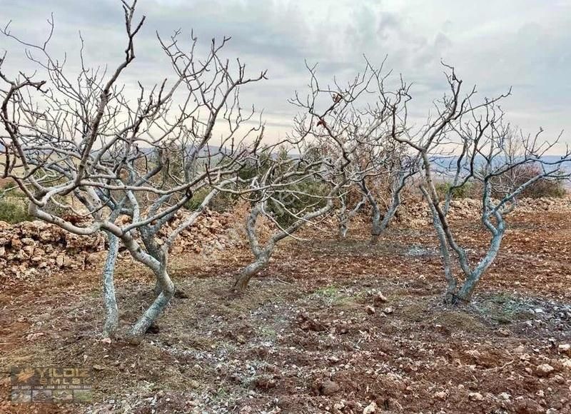 adiyaman golbasi satilik arsa fiyatlari ve ilanlari
