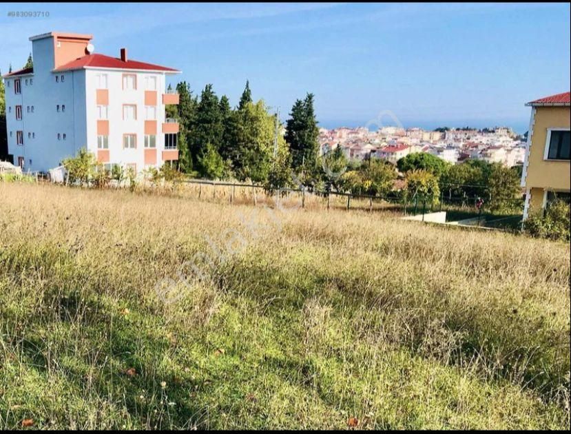 sinop gerze satilik arsa fiyatlari ve ilanlari