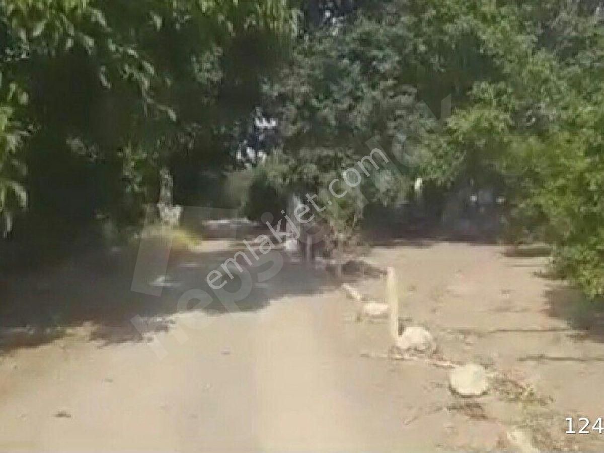 izmir seferihisar satilik bag bahce emlakjet izmir seferihisar satilik bag bahce emlakjet