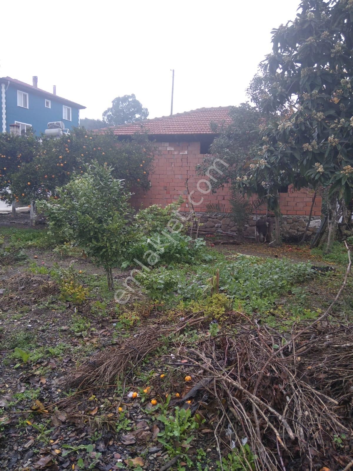 Emlakçıdan Muğla Ula Kızılyaka Mahallesi Satılık Konut İmarlı 2.600.000