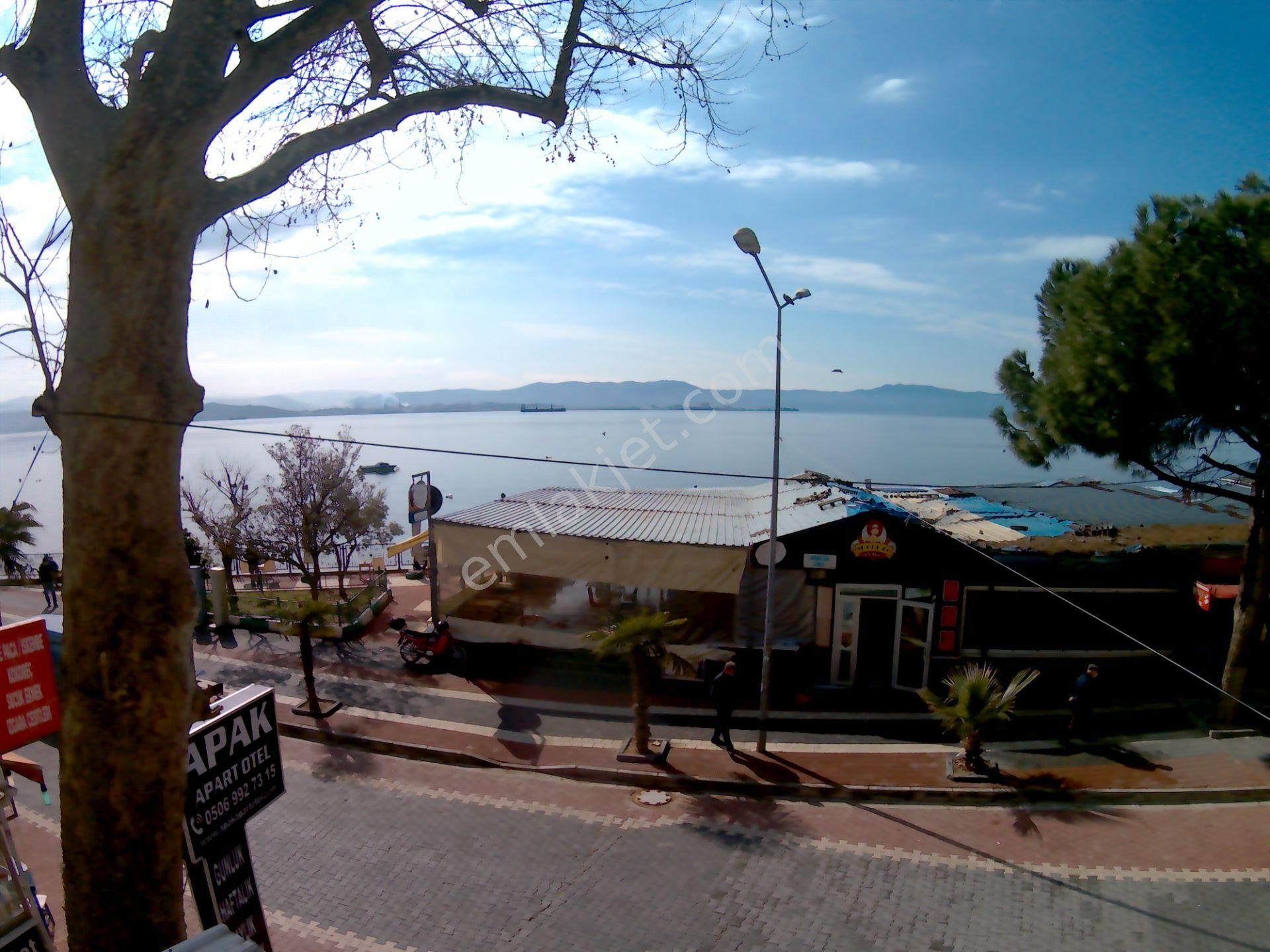 ych1rr5cc6t4zm ych1rr5cc6t4zm