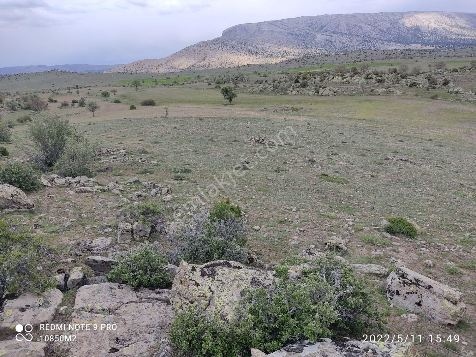 Sağlık Tekkede 10850m2 Müstakil Tapulu Arazi - Görsel 18