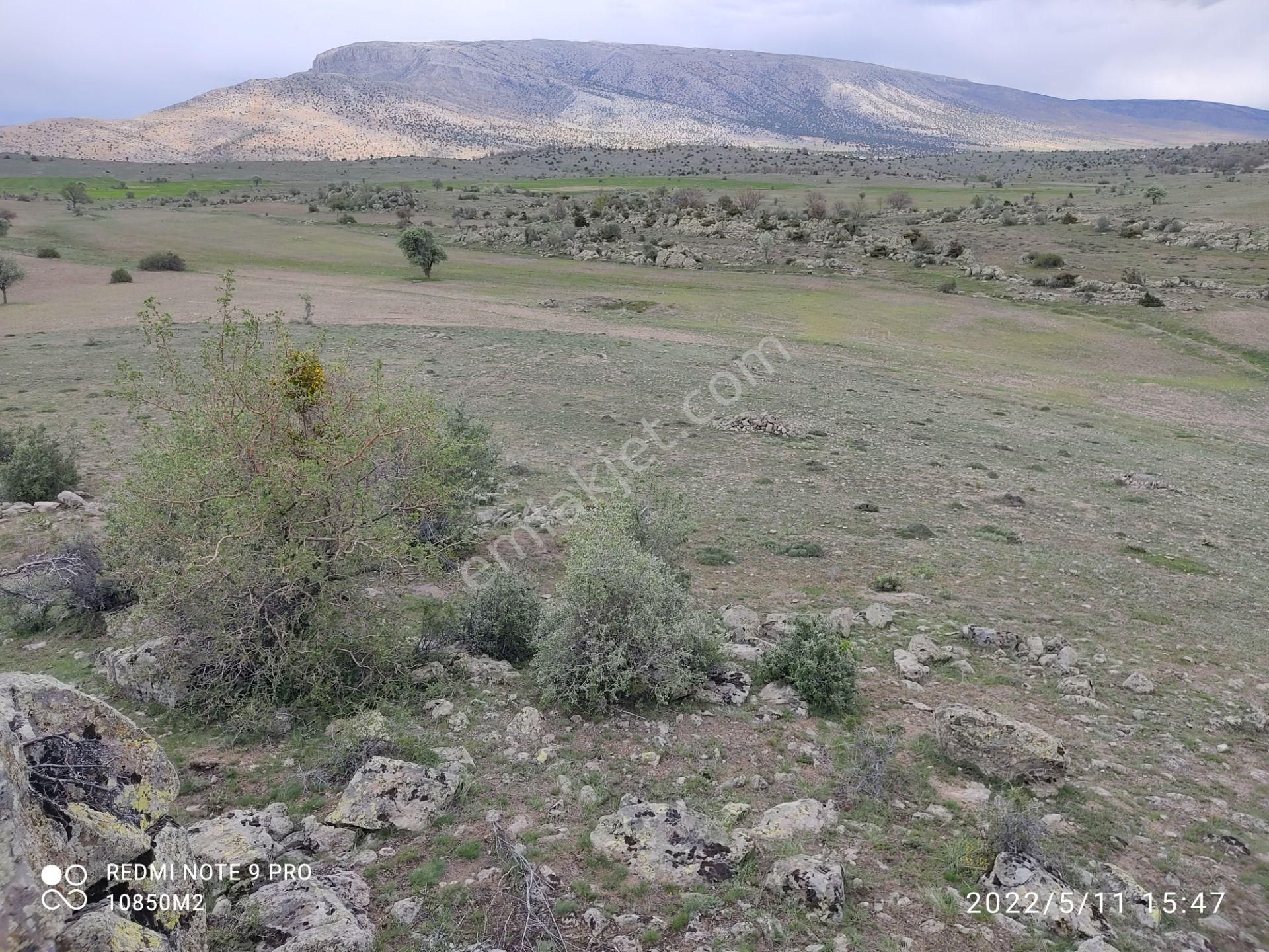 Sağlık Tekkede 10850m2 Müstakil Tapulu Arazi - Görsel 8