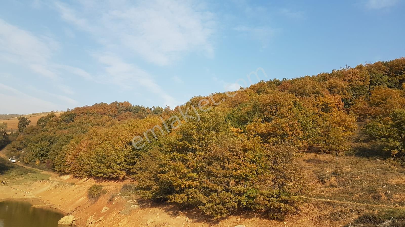 Uzmanlar'dan Satılık Tarla 6500 M2 Bursa İznik Yörükler Köyünde - Görsel 5