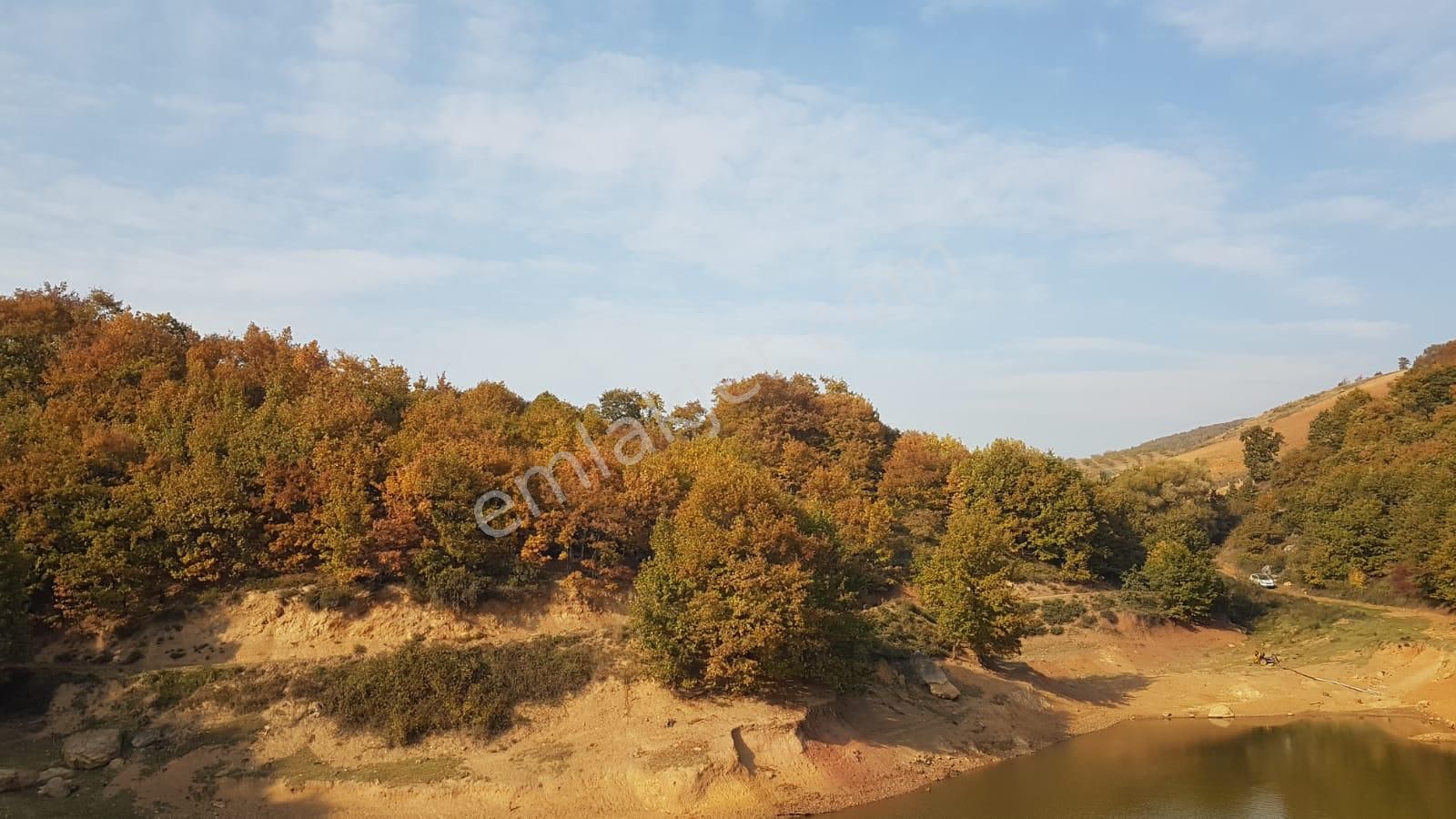 Uzmanlar'dan Satılık Tarla 6500 M2 Bursa İznik Yörükler Köyünde - Görsel 4