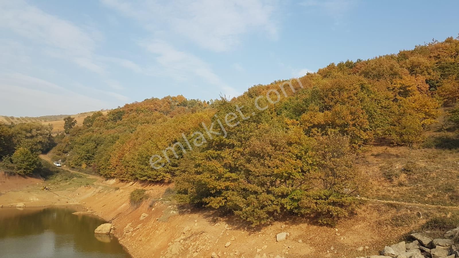 Uzmanlar'dan Satılık Tarla 6500 M2 Bursa İznik Yörükler Köyünde