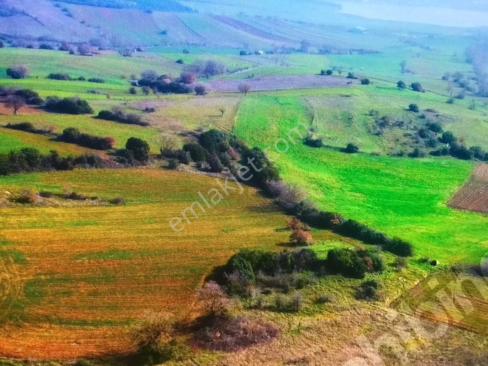 Çanakkale Biga Çelikgürü De Satılık Arazi