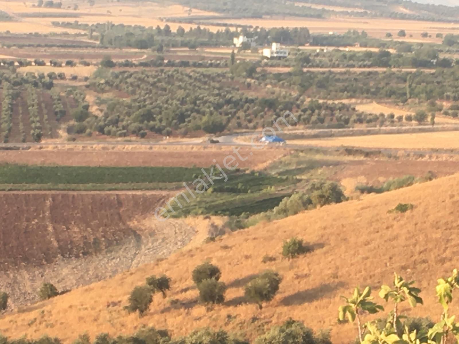 Sb Gayrimenkul'den Kavşakda Yüksek Konumlu Zeytinlik - Görsel 12