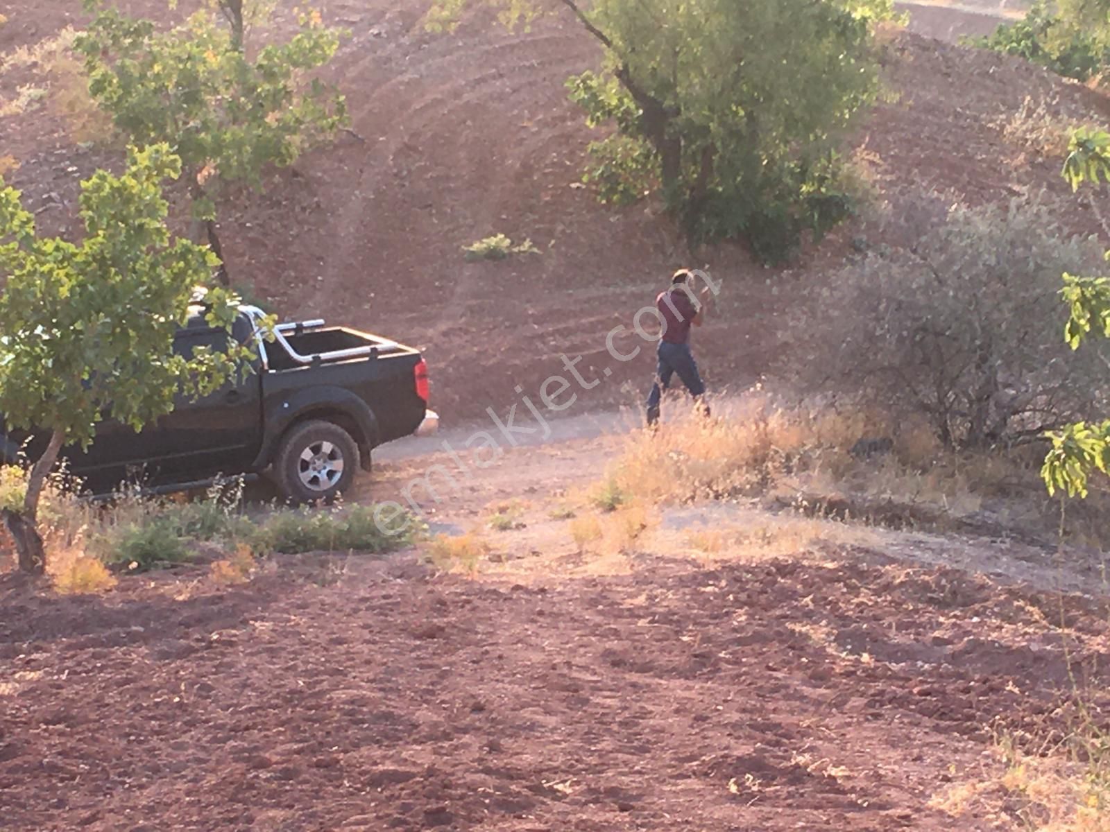 Sb Gayrimenkul'den Kavşakda Yüksek Konumlu Zeytinlik - Görsel 8