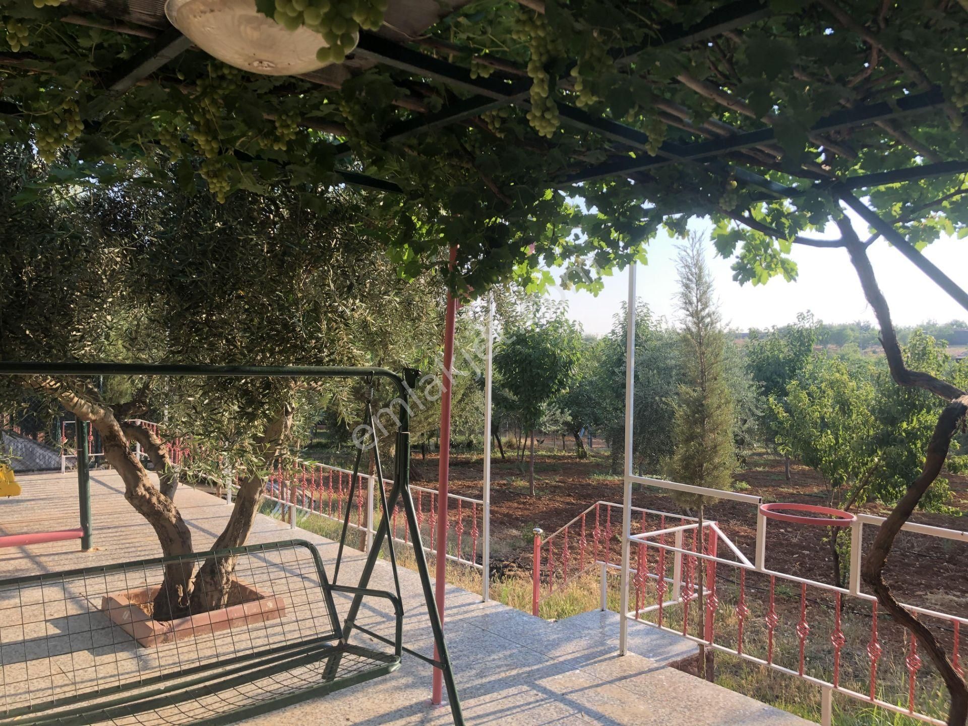 Sami Bakır'dan Serincede Anayol Üzeri Havuzlu Bagevi - Görsel 7