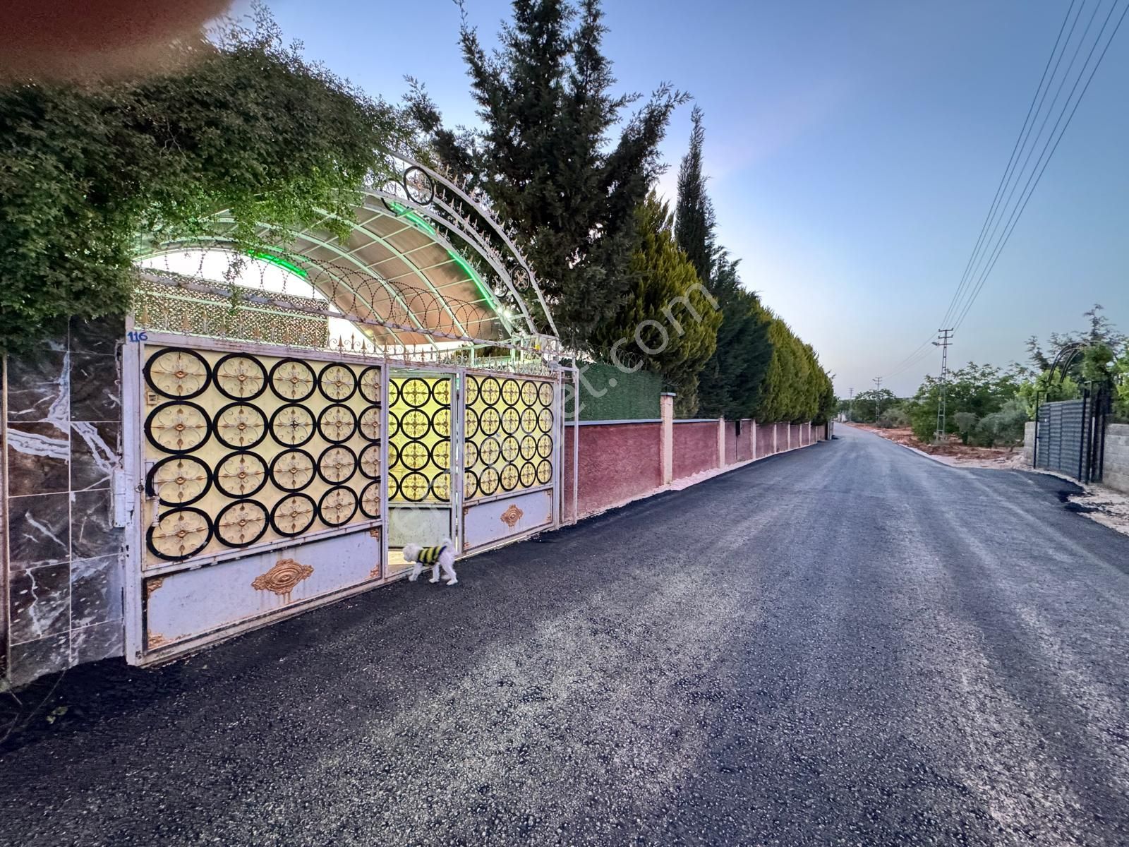 Sami Bakır'dan Serincede Anayol Üzeri Havuzlu Bagevi - Görsel 28