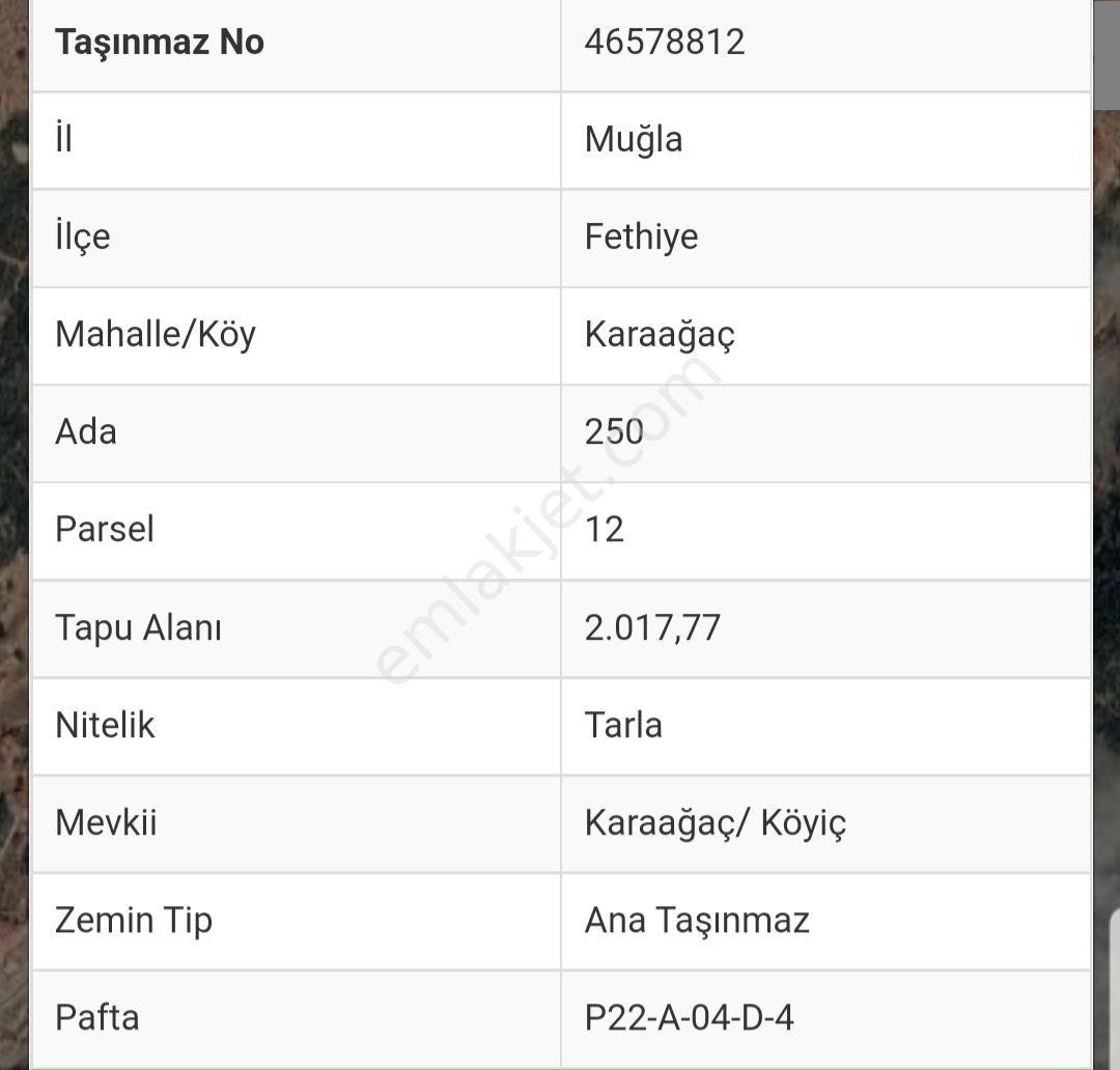 Fethiye Karaağaç Köyiçi Mevkii 2017m2 Satılık Arsa - Görsel 4