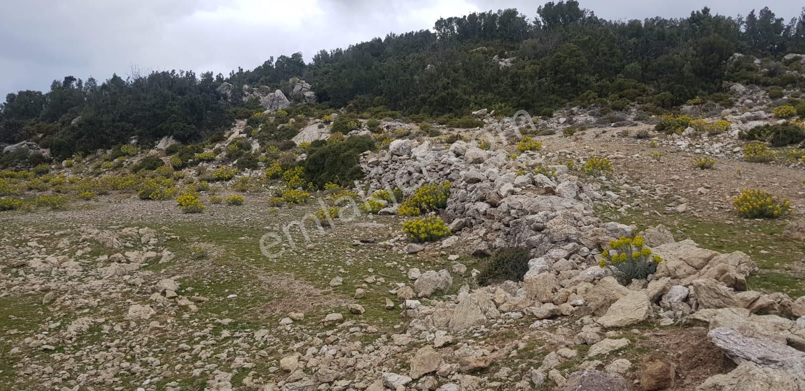Fethiye Karaağaç Köyiçi Mevkii 2017m2 Satılık Arsa - Görsel 5