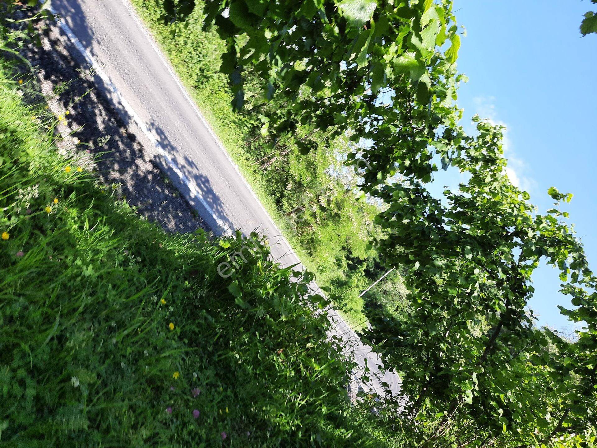 Satılık Süper Arsa. Denizmanzaralı Arsa - Görsel 12