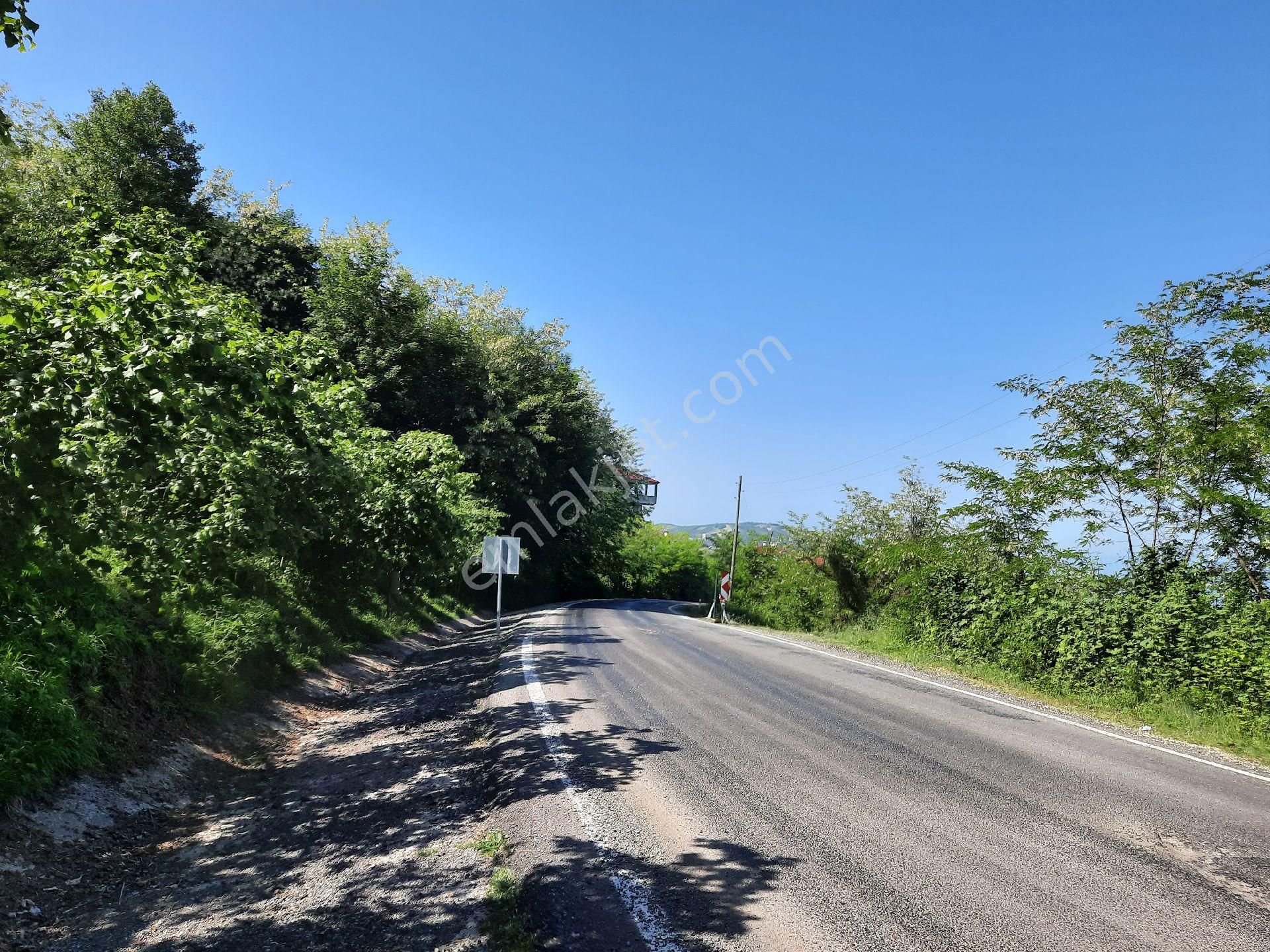 Satılık Süper Arsa. Denizmanzaralı Arsa - Görsel 20