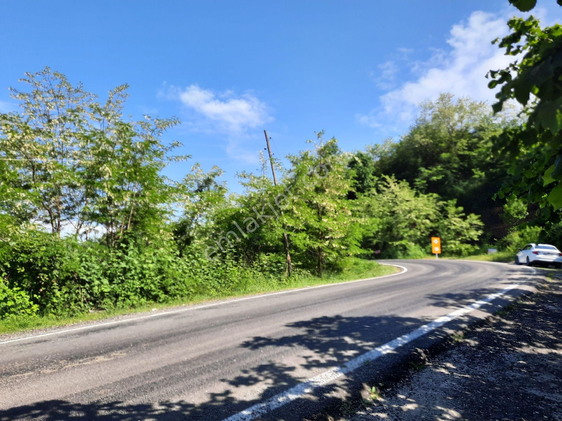 Satılık Süper Arsa. Denizmanzaralı Arsa - Görsel 7