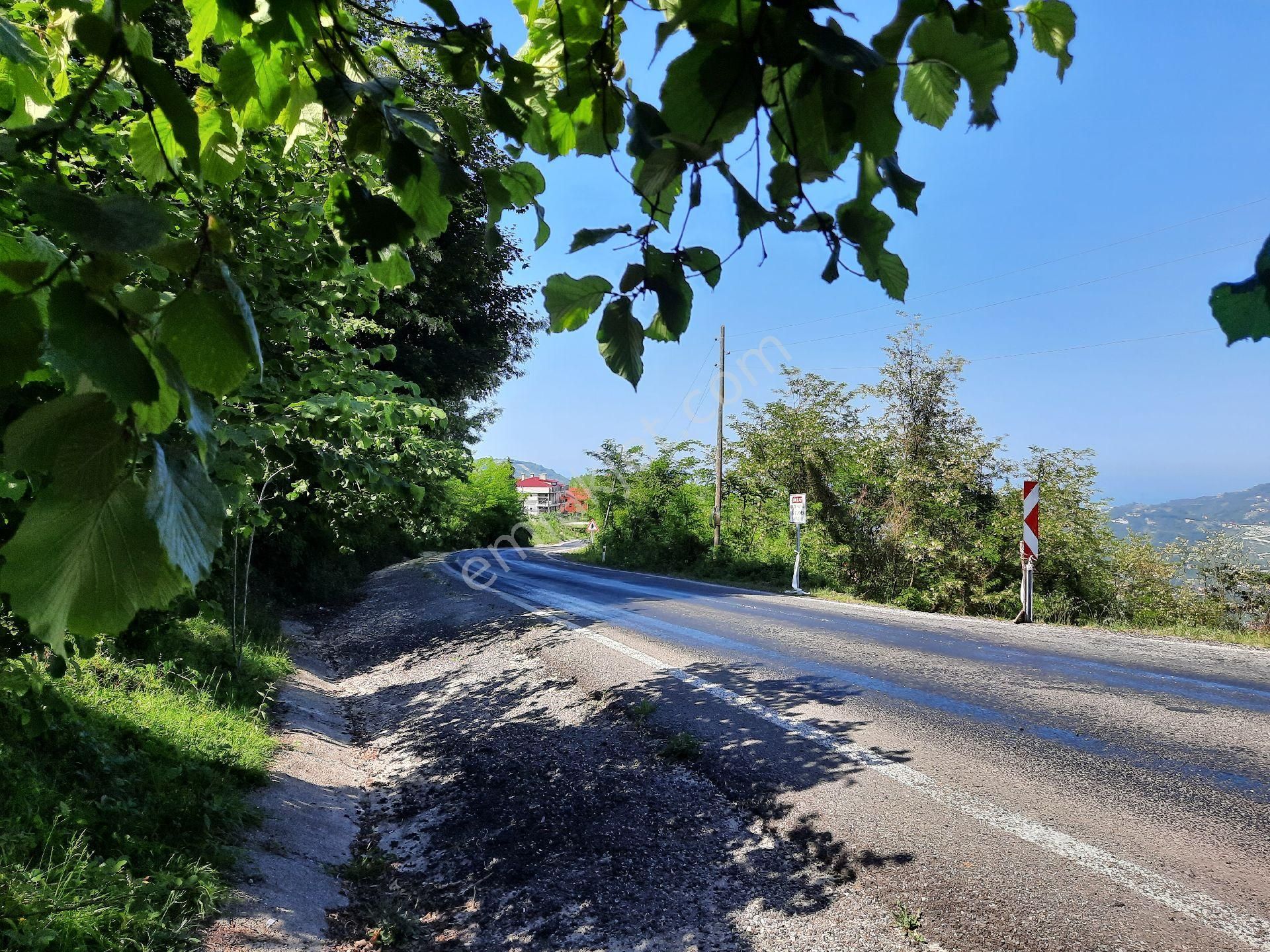 Satılık Süper Arsa. Denizmanzaralı Arsa - Görsel 9