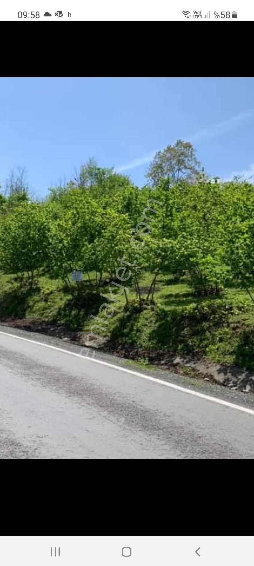 Satılık Süper Arsa. Denizmanzaralı Arsa - Görsel 2