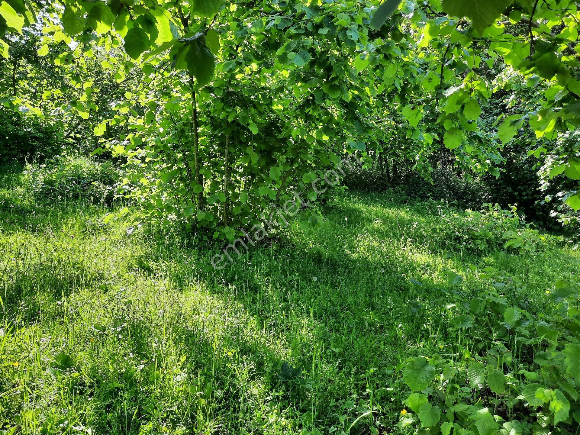 Satılık Süper Arsa. Denizmanzaralı Arsa - Görsel 8