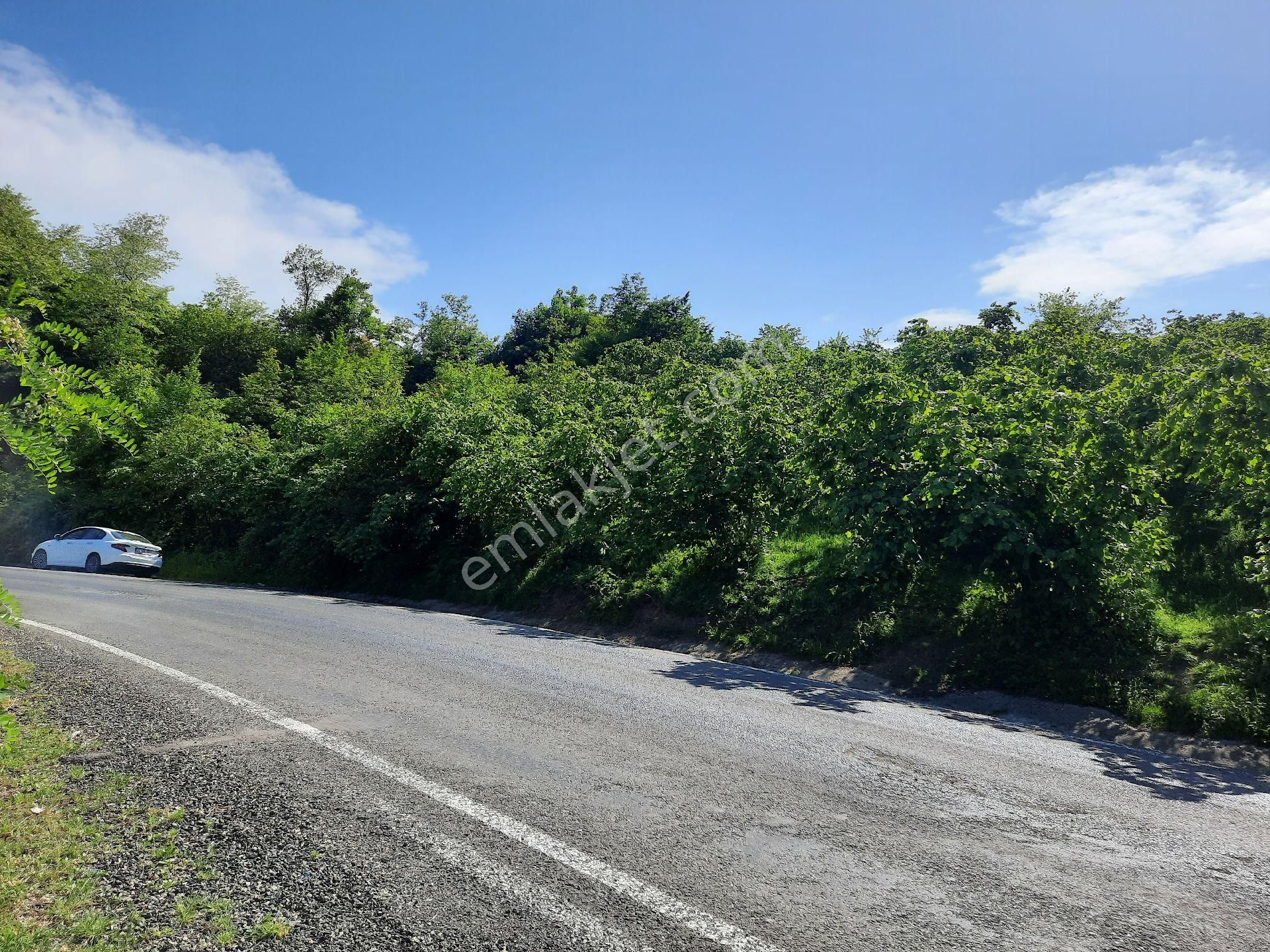 Satılık Süper Arsa. Denizmanzaralı Arsa - Görsel 16