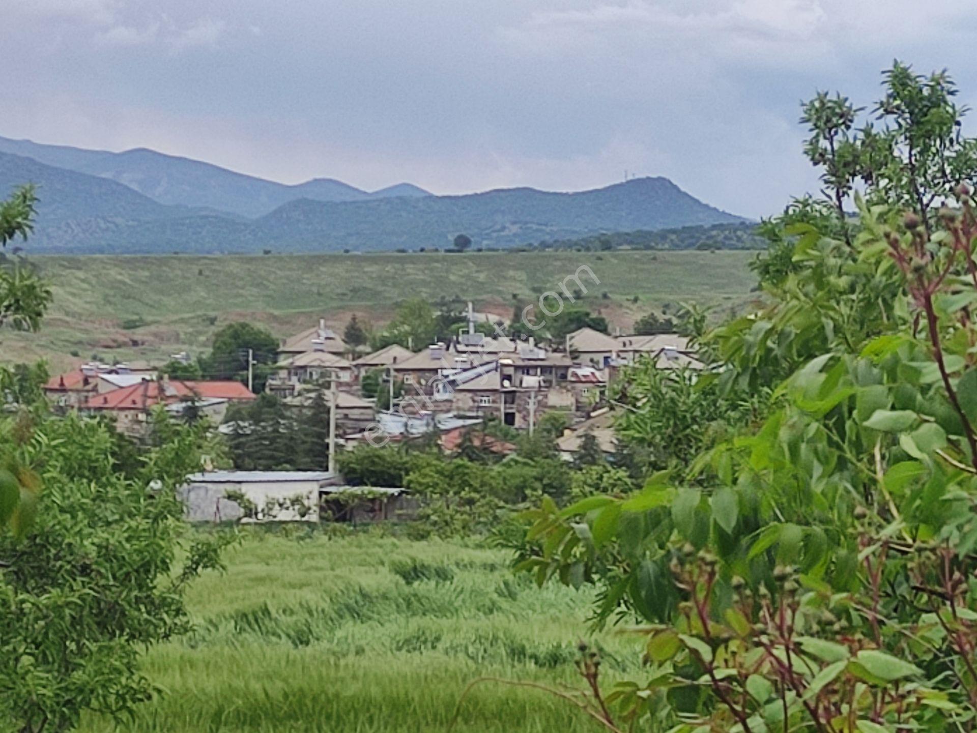 Özpınar ,dan Çavuş Köyü Girişinde Bahçe 3.383 M2 Yol Kıyısı.özel Yolu Var...! - Görsel 28