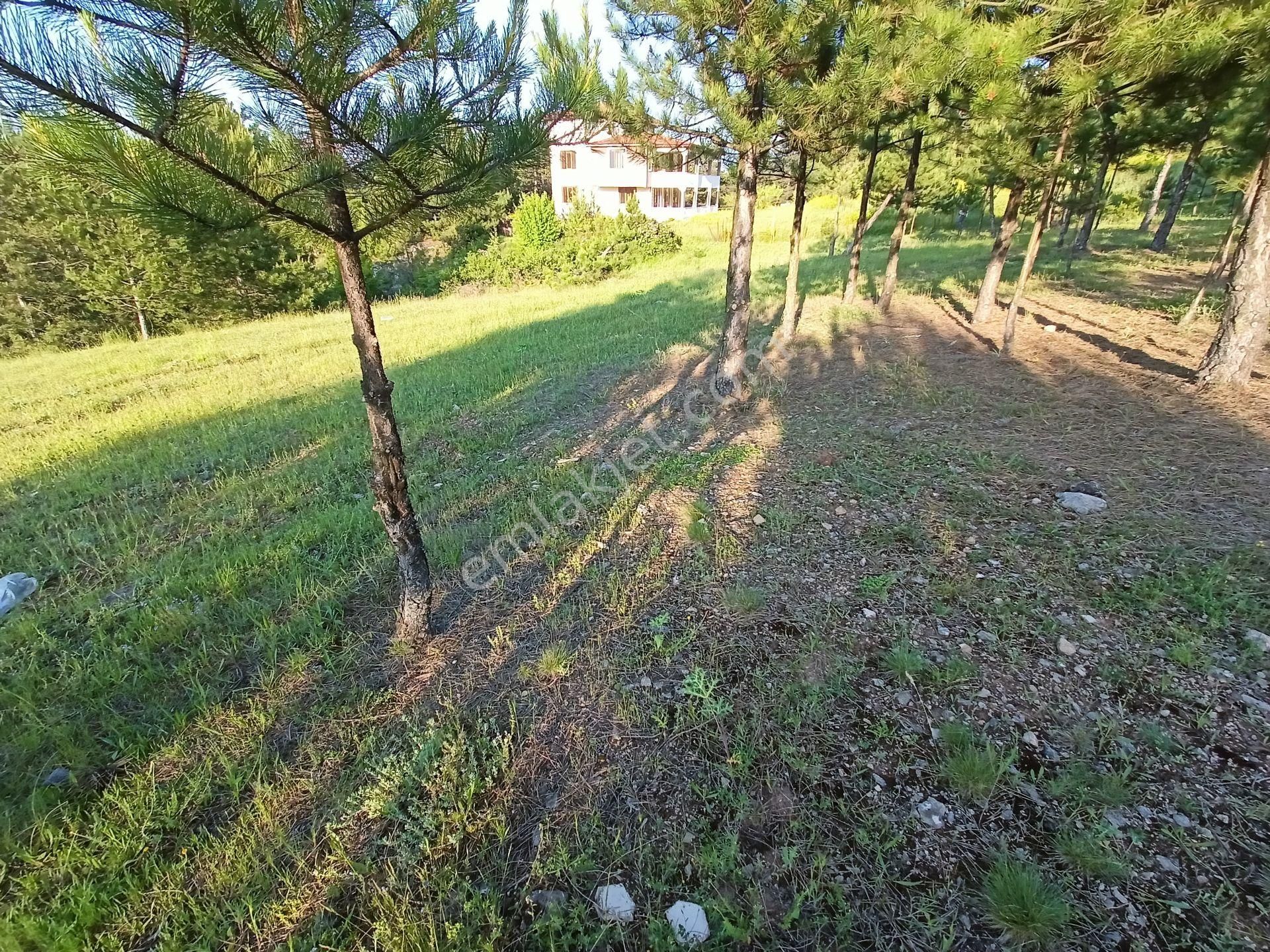 Karabük Merkez Kale Köyü (Güney) Satılık Tarla  KARABÜK MERKEZ KALE KÖY'DE SATILIK ARSA