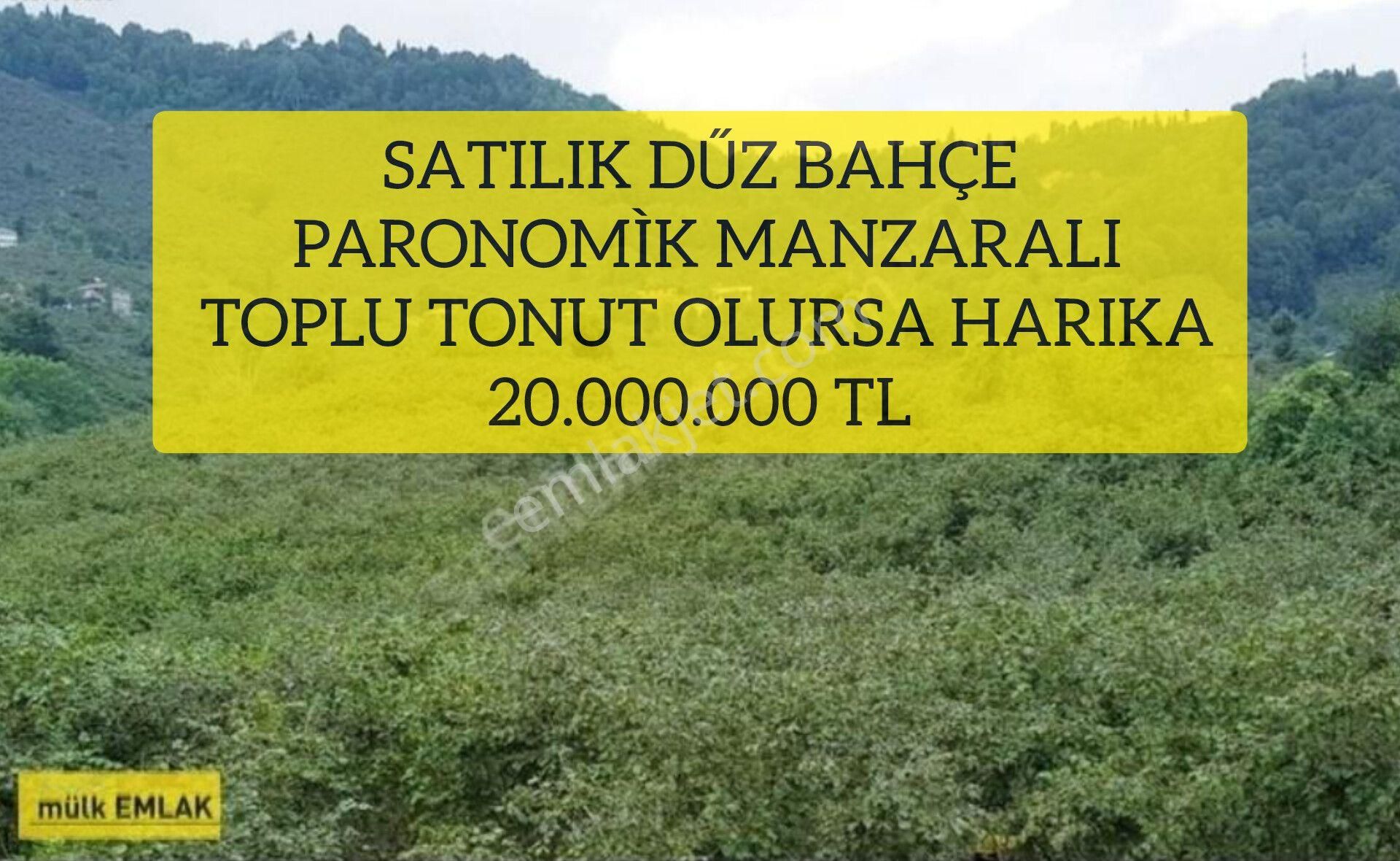 Giresun Merkez Boztekke Köyü (Camiyanı) Satılık Bağ & Bahçe ( 11 ) Satılık Dűz Bahçe Paronomìk Manzaralı Toplu Tonut Olursa Harıka