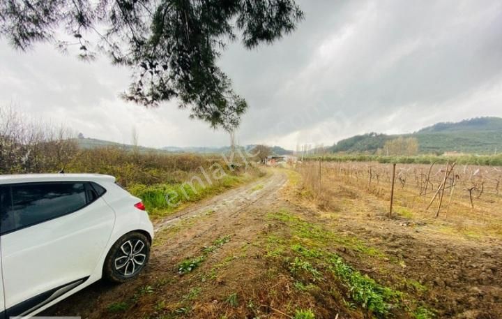 Tırpan Gayrimenkulden Mudanya Aydınpınar Köyünde 4800m2 Zeytinlik - Görsel 13