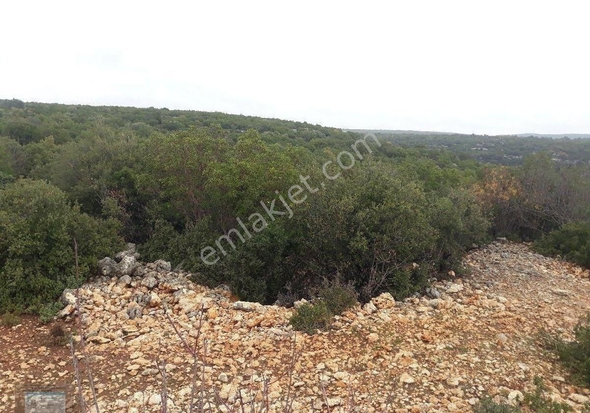 Silifke Hüseyinlerde Satılık Tarla - Görsel 4