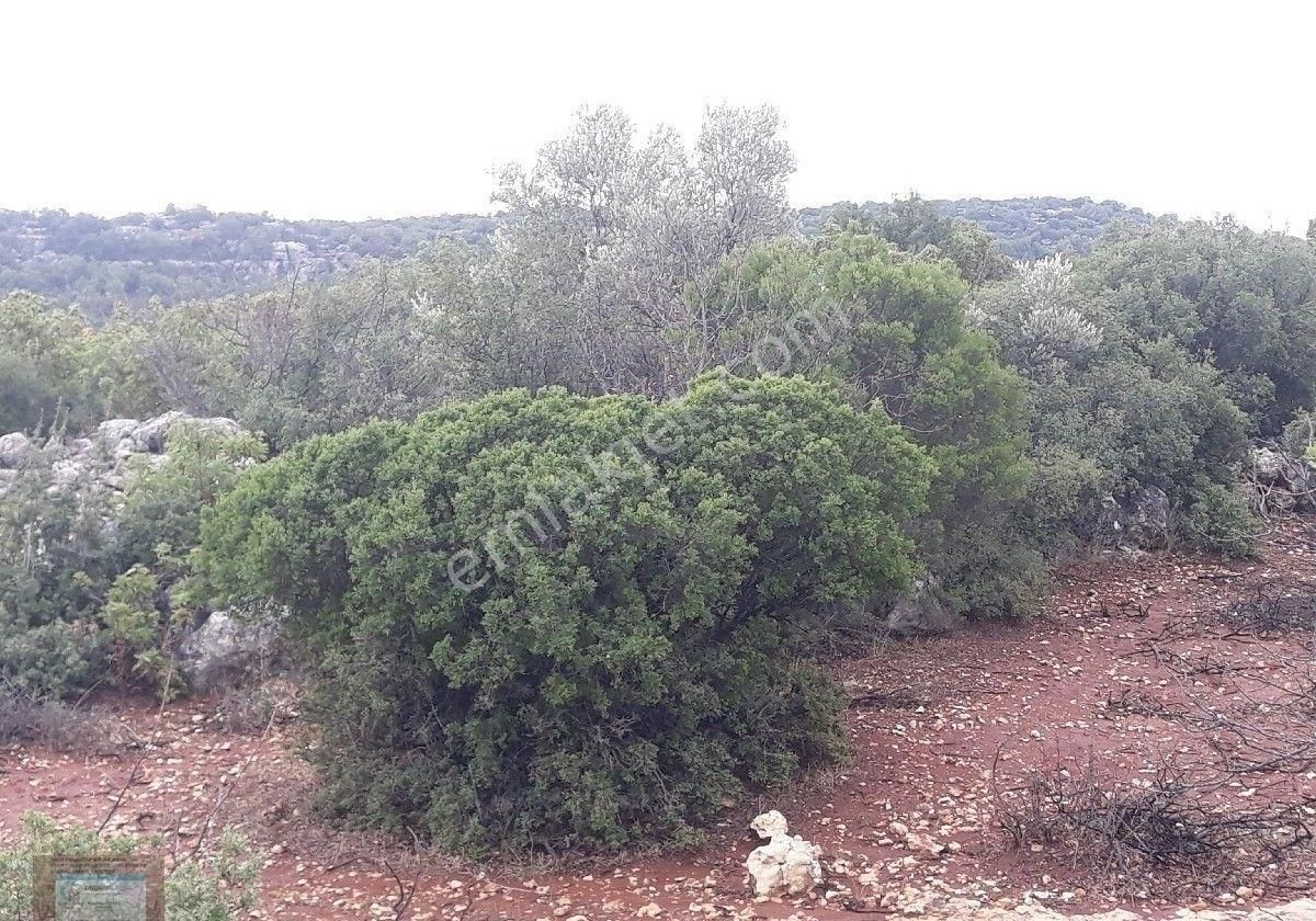 Silifke Hüseyinlerde Satılık Tarla - Görsel 7