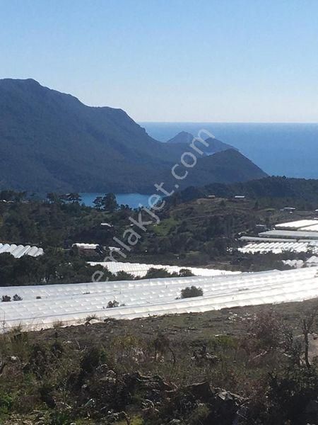 Arkadaş İnşaat Emlaktan Karaözde Deniz Manzaralı Tarla - Görsel 5