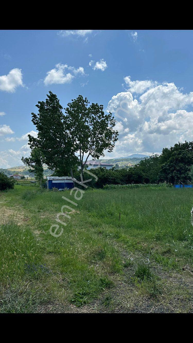 Dereköy Merkezde Villa İmarlı Arsa - Görsel 5