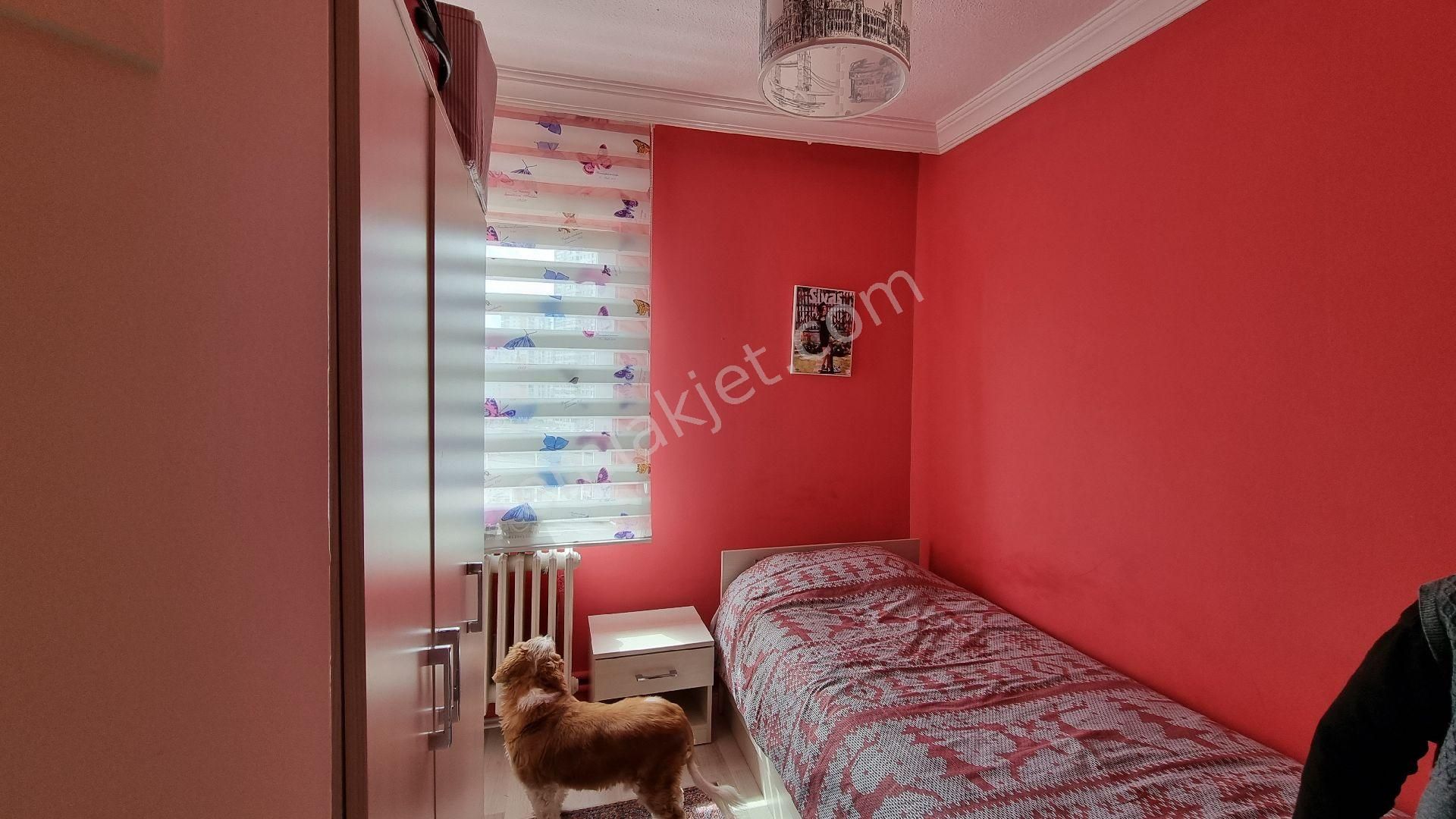 Ayvalı Kardeşlerde Yapılı Katta Full Ankara Manzaralı - Görsel 7