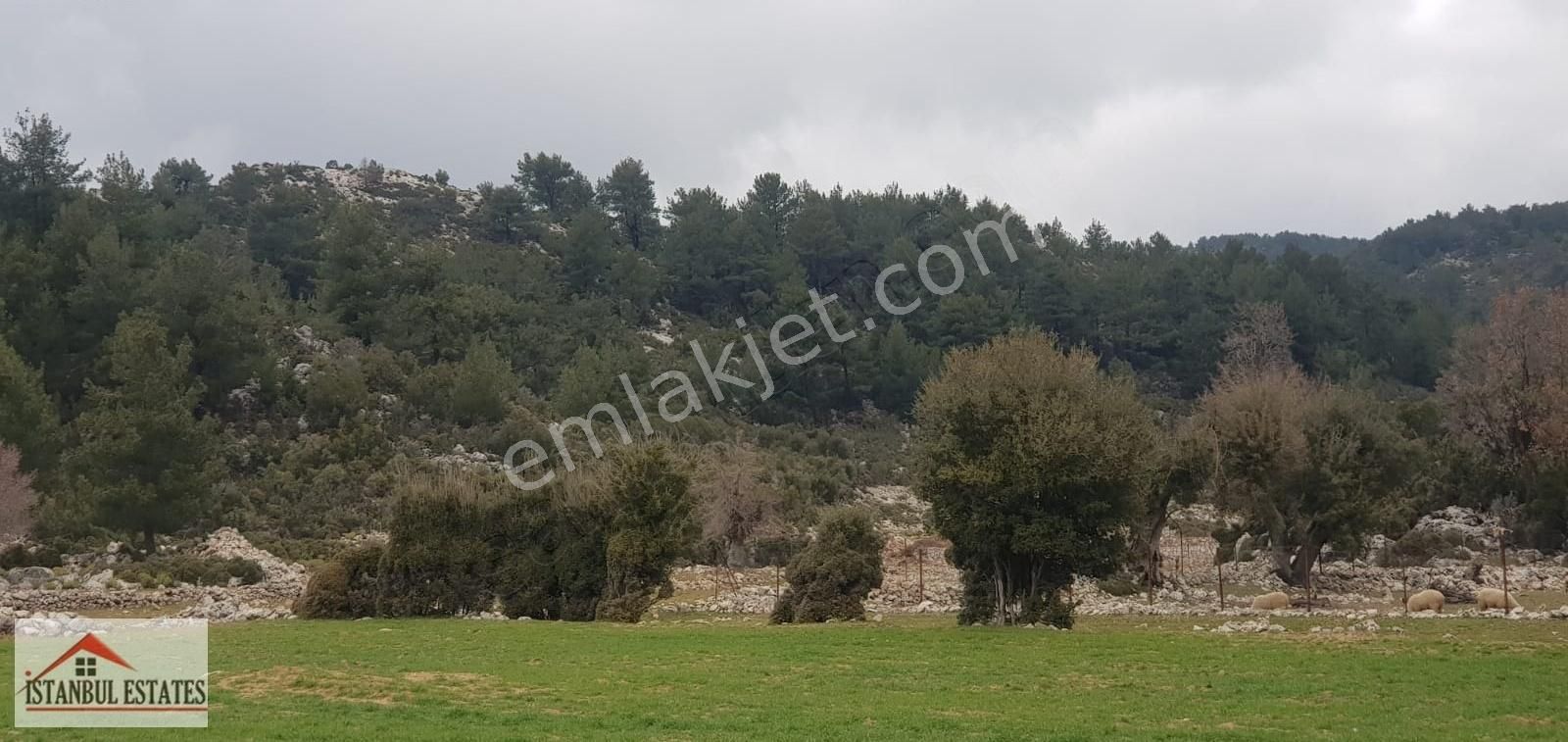 Fethiye Karaağaç Satılık Tarla Fethiye Karaağaç Köyiçinde 1034m2 Yatırımlık Arsa