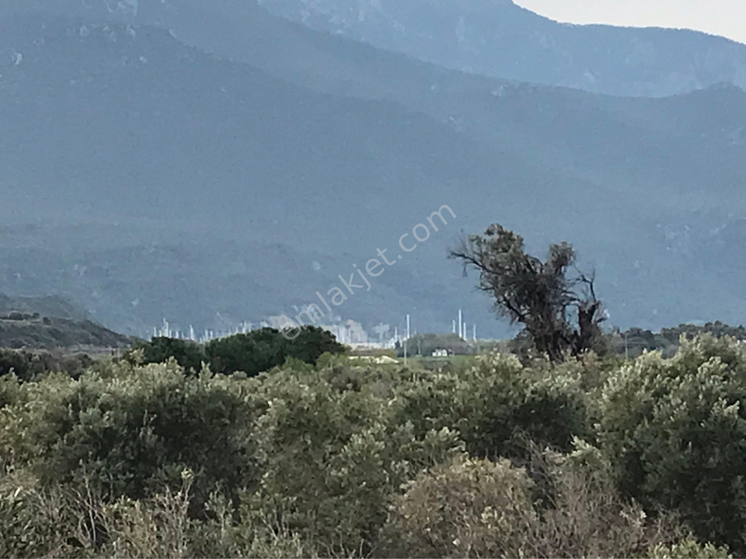 Karaköyüm Emlaktan Satılık Tarla - Görsel 19
