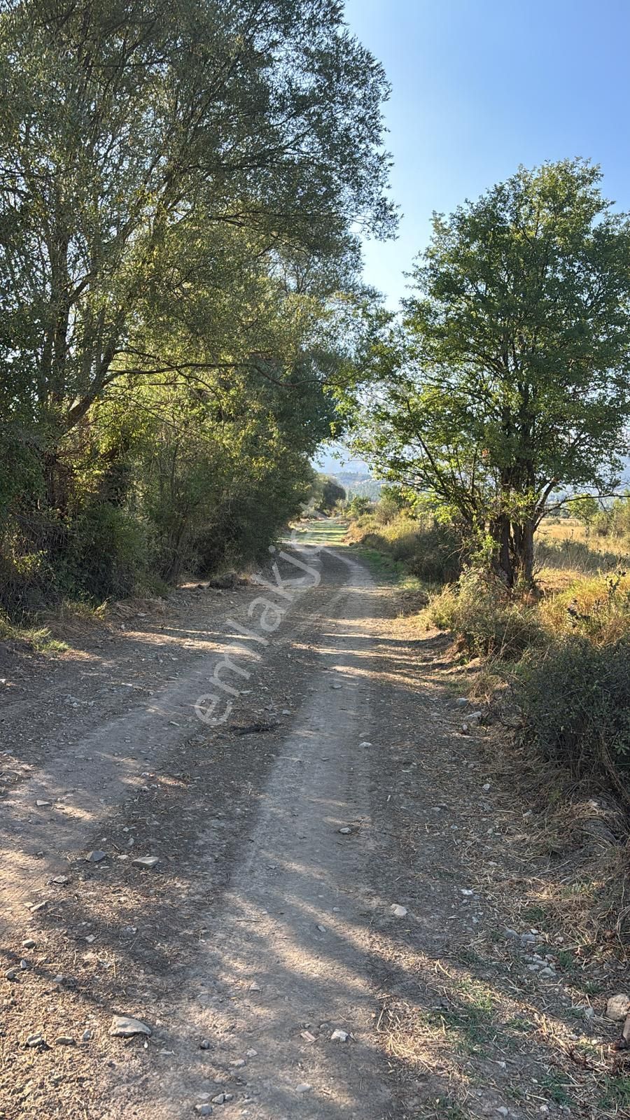 Asya Evim Gayrimenkulden Hamam Mahallesi Satılıkarazi - Görsel 9