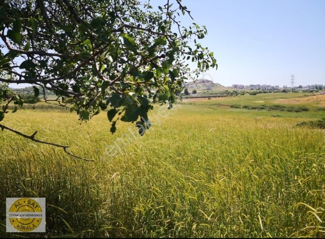 Aliağa Arsa Kūltūr Mahallesı - Görsel 2