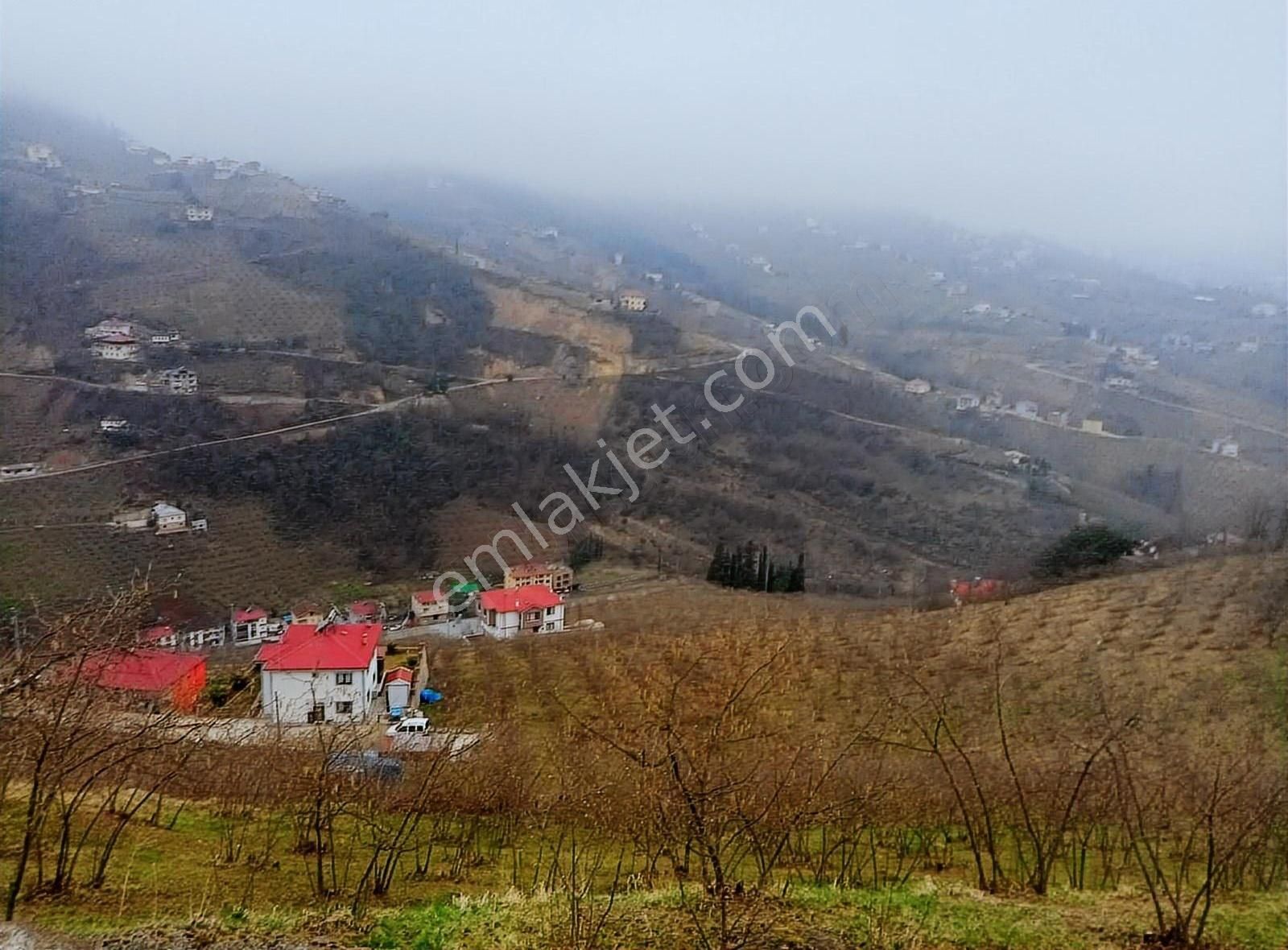 Trabzon, Akçaabat Derecik Çevreli' De 2.900m2 Harika Fındıklık