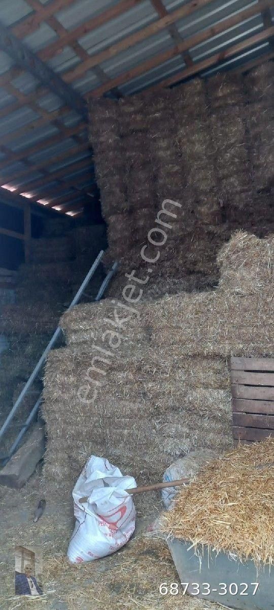 Tekirdağ Süleymanpaşa Gayrimenkulden Satılık 2 Dönüm İçinde - Görsel 4