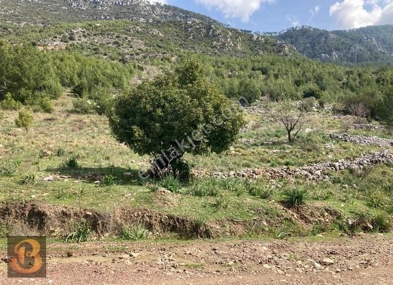 Kumluca Yazır Satılık Tarla Antalya Kumluca Olympos'ta Satılık 5.000 m2 Arazi....