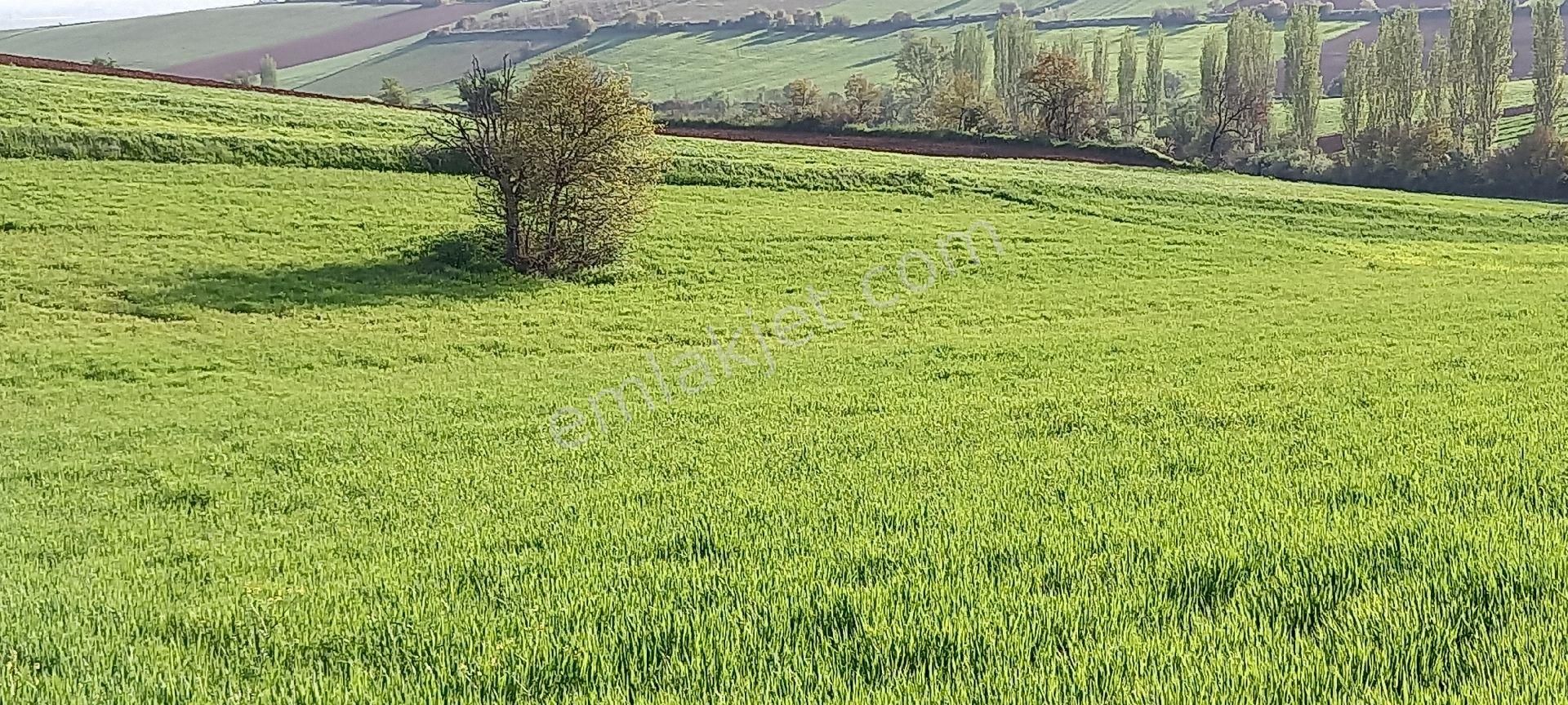 Yenişehir Kozdere Satılık Tarla Geniş Hobi Bahcesi Tarla